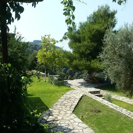 Rosemary Mediterranean Athánion